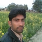 Profile picture of Ahmad Maqsood